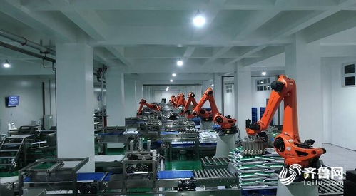 潍坊昌乐 无废工厂 变废为宝增效益 年碳减排约60万吨