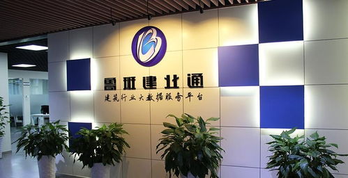 成都鲁班建业科技股份