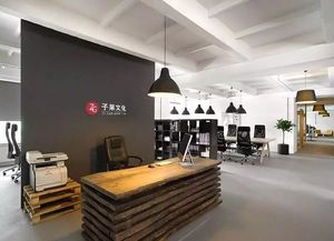 创业者如何才能让公司快速发展,轻资产运作